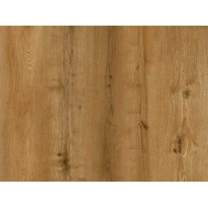 GR-501-PL / Gold Plank Click